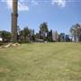 Barangaroo Reserve
