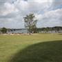 Barangaroo Reserve