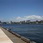 Barangaroo Reserve