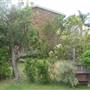 Bilgola Plateau neighbourhood
