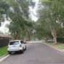 Mona Vale Neighborhood