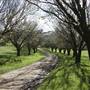 Private House - Crookwell
