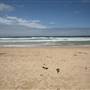 Cronulla Beach North End (Greenhills)