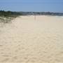 South Maroubra Beach