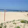 South Maroubra Beach