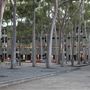 Macquarie University