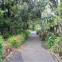 Royal Botanic Garden Sydney