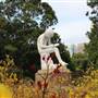 Royal Botanic Garden Sydney