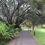 Royal Botanic Garden Sydney