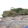 Wattamolla Beach