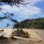 Wattamolla Beach