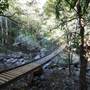 Minnamurra Rainforest Walk - Budderoo National Park