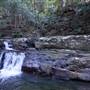 Minnamurra Rainforest Walk - Budderoo National Park
