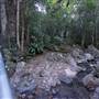 Minnamurra Rainforest Walk - Budderoo National Park