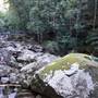 Minnamurra Rainforest Walk - Budderoo National Park