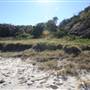 Munmorah State Conservation Area - Snapper Pt and Bongon Beach