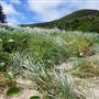 Lord Howe Island