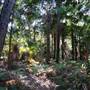Munmorah State Conservation Area - Palms Picnic Area