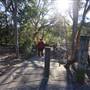 Somersby Falls picnic area - Brisbane Water National Park