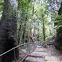 Katoomba Falls Reserve Walk & Tourist Park