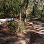 Govetts Leap Lookout & Evans Lookout - Blue Mountains National Park