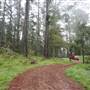 Jenolan State Forest