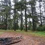 Jenolan State Forest
