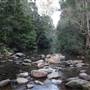 Red Cedar Flat picnic area