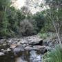 Red Cedar Flat picnic area