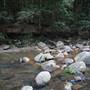 Red Cedar Flat picnic area