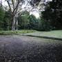 Red Cedar Flat picnic area