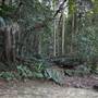 Mount Keira Scout Camp File 1