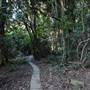Mount Keira Scout Camp File 1