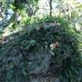 Mount Keira Scout Camp File 1