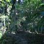 Mount Keira Scout Camp File 1
