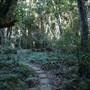 Mount Keira Scout Camp File 1