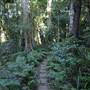 Mount Keira Scout Camp File 1
