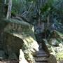 Mount Keira Scout Camp File 1
