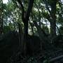 Mount Keira Scout Camp File 1