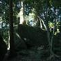 Mount Keira Scout Camp File 1