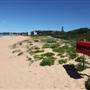 Narrabeen Beach