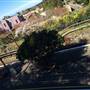 Leura Railway Station