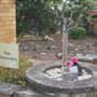 Rookwood Cemetery