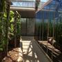 The Calyx - Royal Botanic Garden Sydney