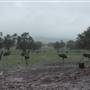 Emu Logic