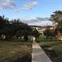 Dunningham Park Coogee