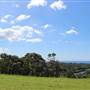 Rosebank Farm