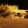 Tumut by night