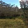 The Gully Walk, Katoomba (formerly Catalina Park)