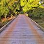 gurragawee Eco Venue